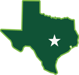 Texas_icon_2